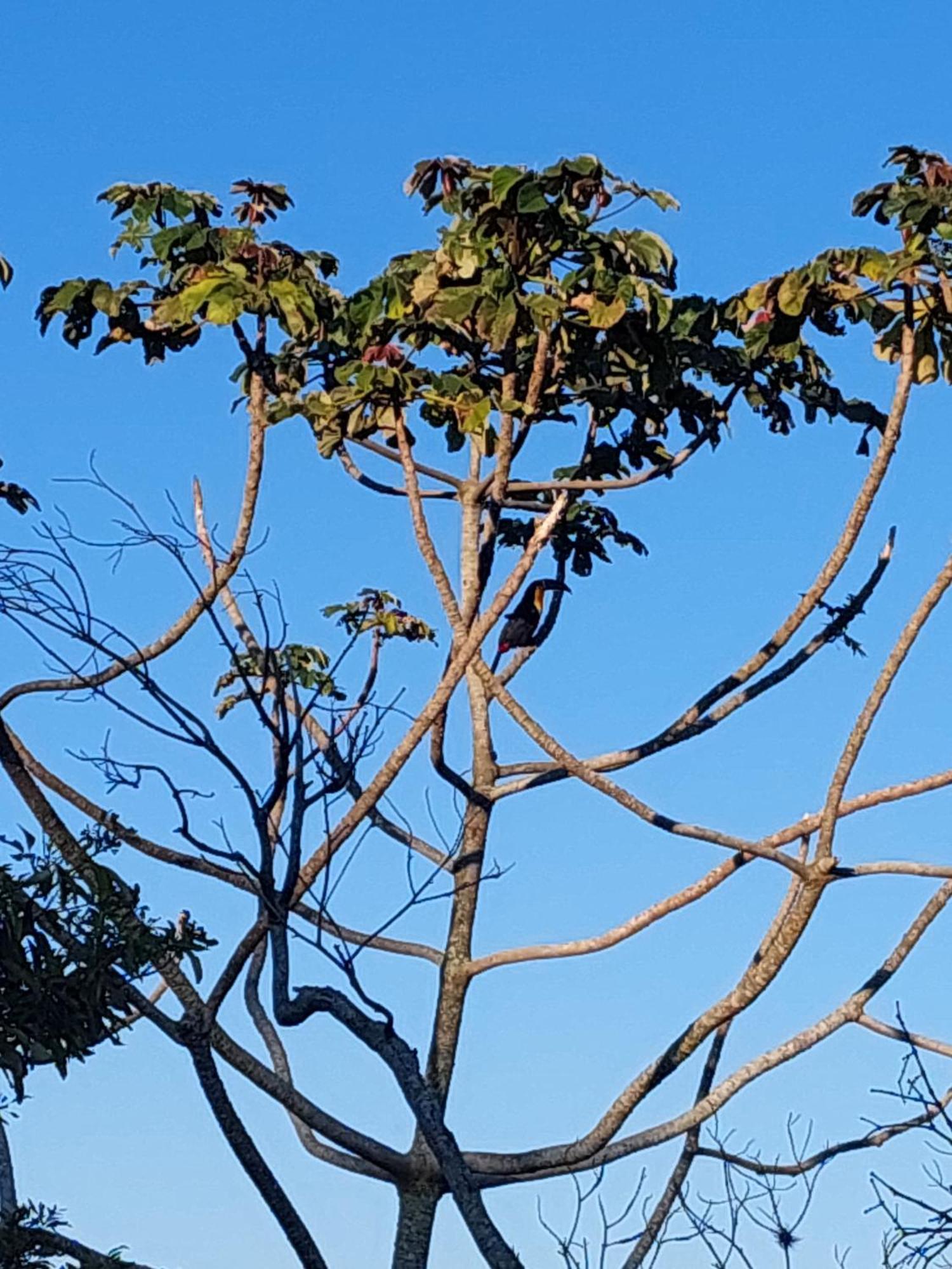 Casa Com Piscina Villa Florianópolis Kültér fotó