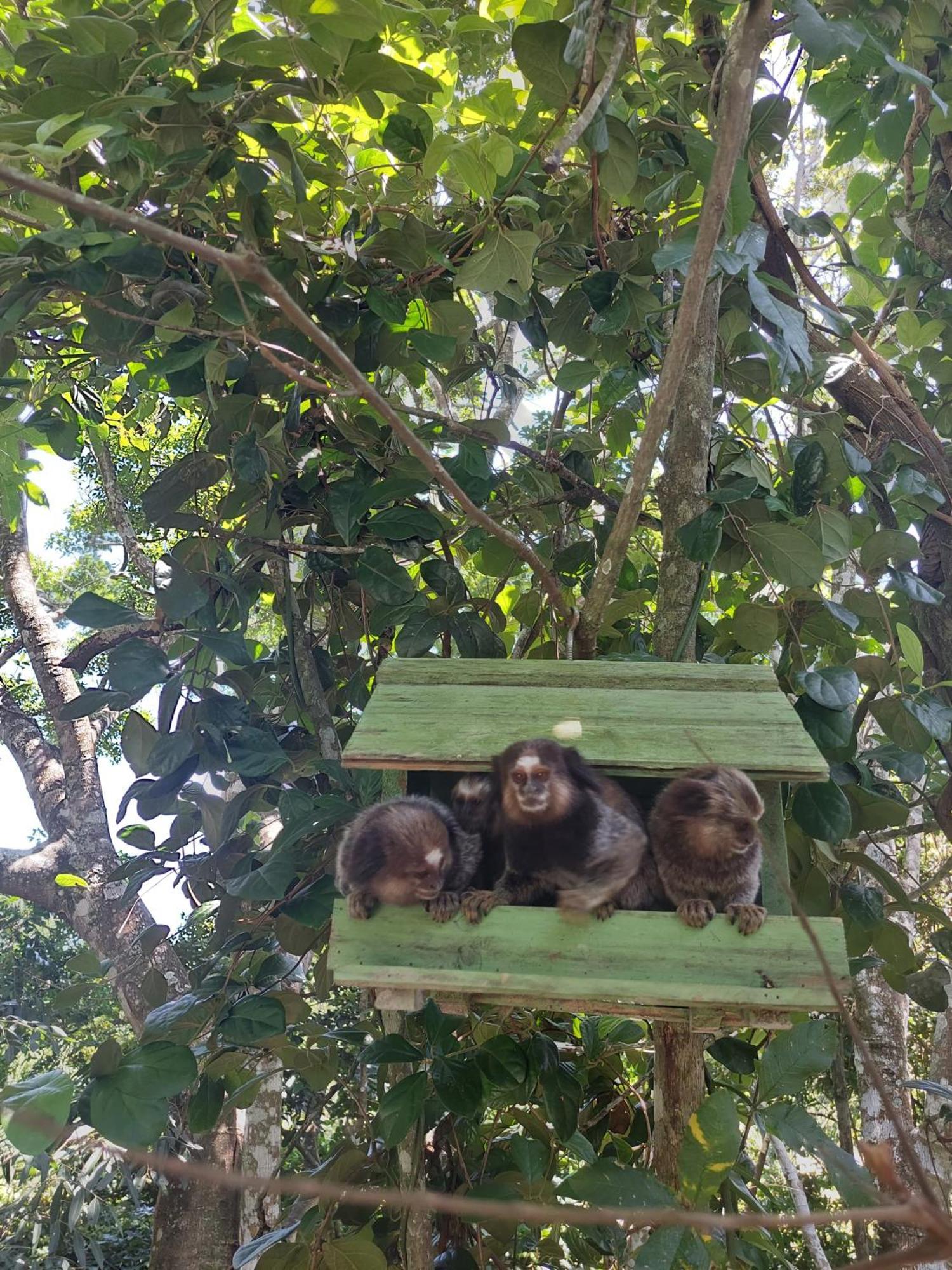 Casa Com Piscina Villa Florianópolis Kültér fotó
